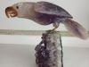 Oiseaux en quartz sur socles améthyste