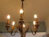 Lustre 6 branches