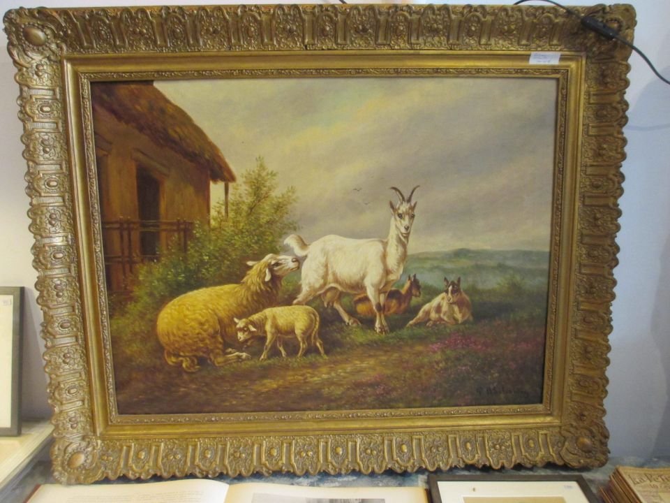 Paysage animalier